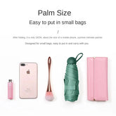 Portable Capsule Sunscreen Umbrella Umbrella 6 Ribs Mini Umbrella Pocket size Windproof Rainproof Sun Protection