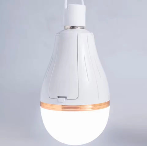 Rechargeable Bulb 30W LED emergency  detachable 18650 lithium battery power