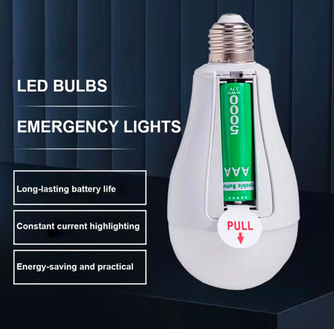 Rechargeable Bulb 30W LED emergency  detachable 18650 lithium battery power