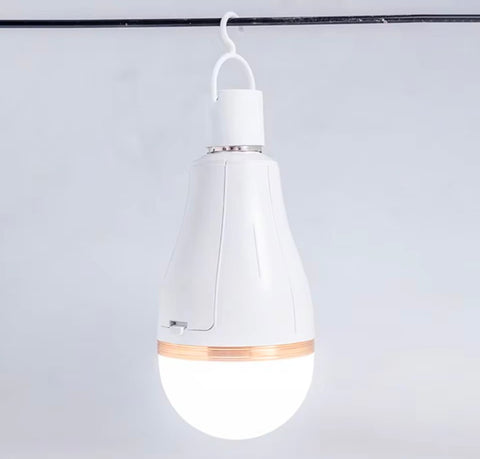 Rechargeable Bulb 30W LED emergency  detachable 18650 lithium battery power