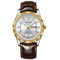 Men's Luxury Waterproof Luminous Quartz Watches
