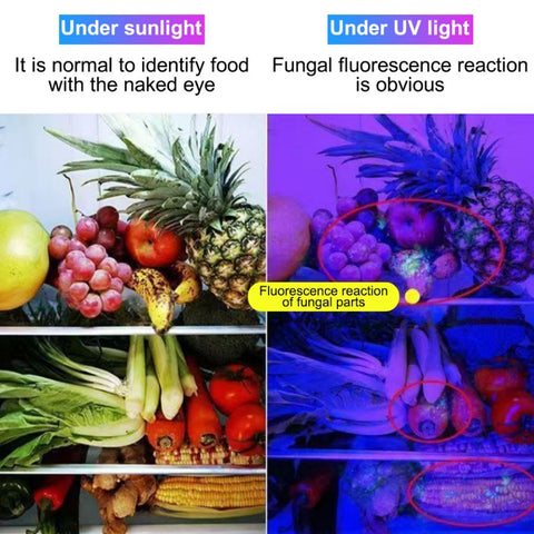 365nm UV Flashlight  Black Light USB Rechargeable Currency Check