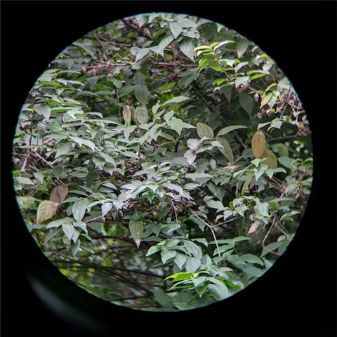 YD Optical 10x50 Hunting Binoculars with Rangefinder
