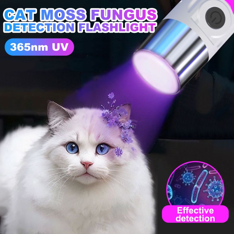 365nm UV Flashlight  Black Light USB Rechargeable Currency Check