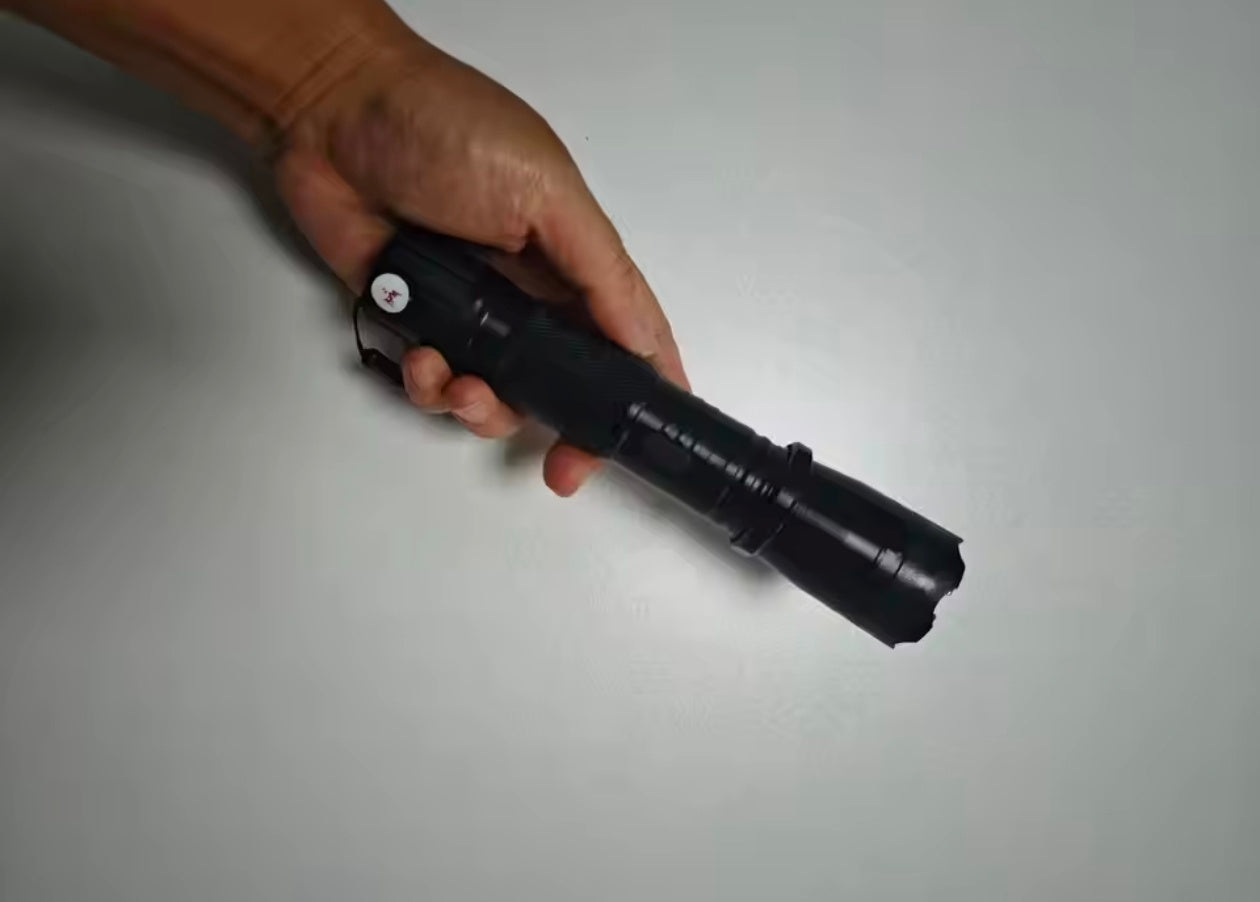 2 In 1 Self Protective flash light & Stun 1101