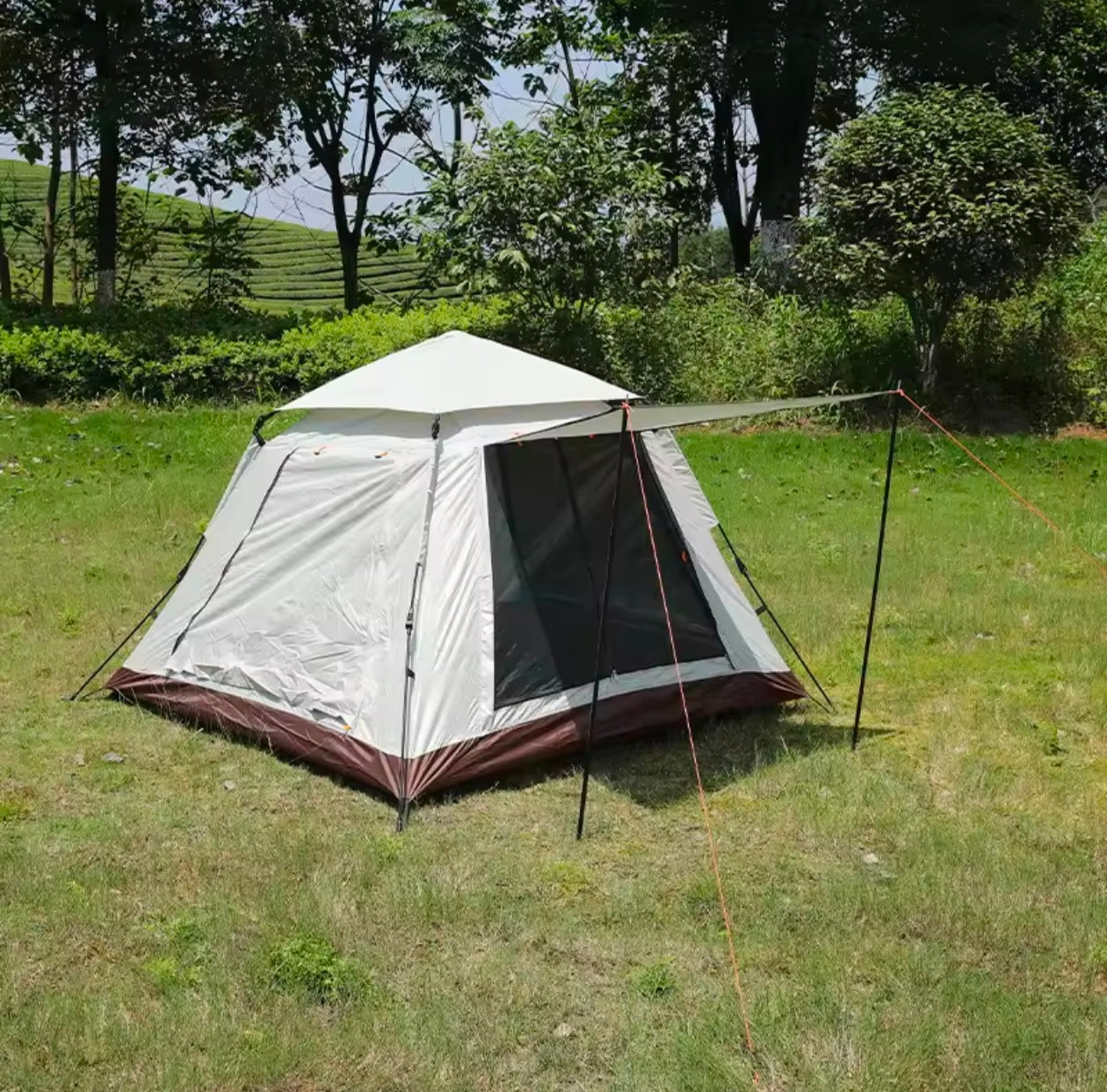 5 Person Japani Automatic Quick Open Tent with Carry bag