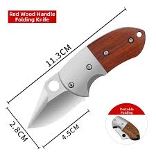 Japanese Cold Steel Kobun knife