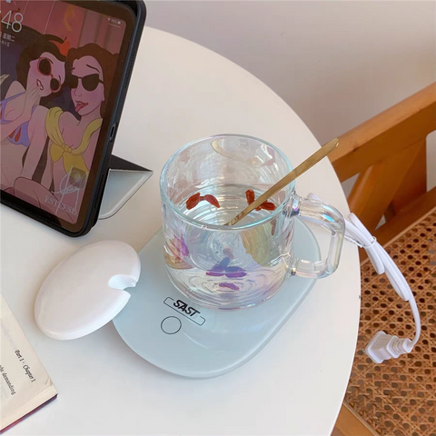 Electric Automatic Thermostatic Warm Insulated Cup 55°
